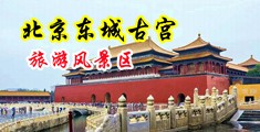 被操爱美女调教奸,。网站】中国北京-东城古宫旅游风景区